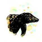 Pangolin from Ping & Po-Li: Rainforest Rescue by Irish author Audrey Moore